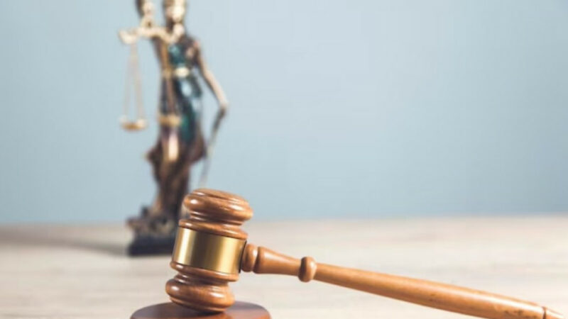 Иск к инвестору долгостроев на 639 млн рублей и взыскание вреда природе с «Агрокомплекса»: кто с кем судится