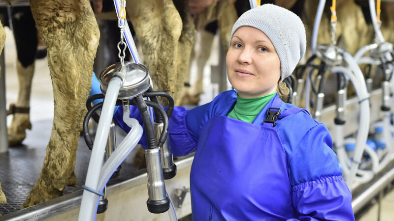 На Кубани в 2021 году открыли семь перерабатывающих сельхозкооперативов