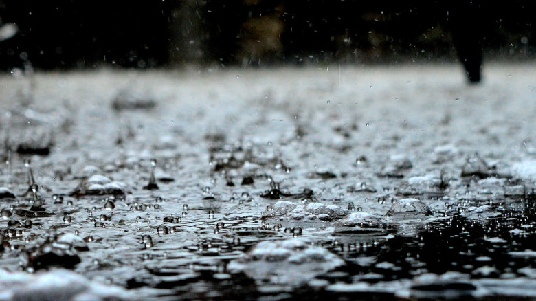 На Кубани объявили штормовое предупреждение по сильному дождю с грозой