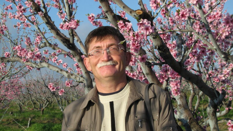 «Сады Рыжевских»: на кубанской земле мы можем вырастить даже киви