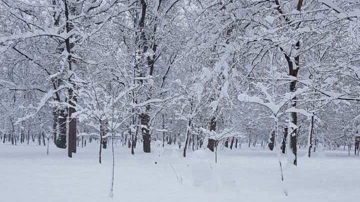 Небывалый снегопад: в Краснодарском крае устраняют последствия непогоды