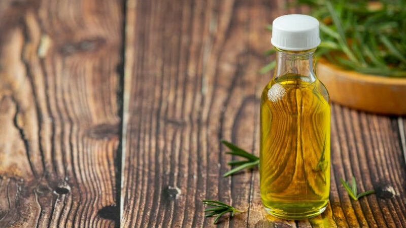 Свое дело: как житель Сочи запустил производство масла холодного отжима