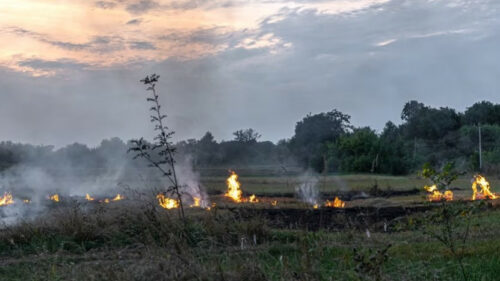 Лесной пожар в Геленджике локализовали на площади 12 га