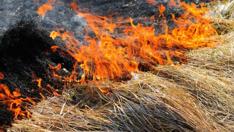 Оперштаб Кубани уточнил число упавших в Каневском районе летательных аппаратов