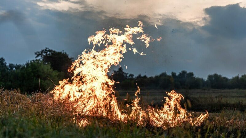 Два летательных аппарата упали в Каневском районе Кубани