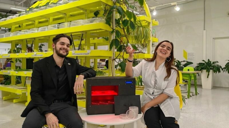 Студенты «Сириуса» создали прибор для ускорения роста семян