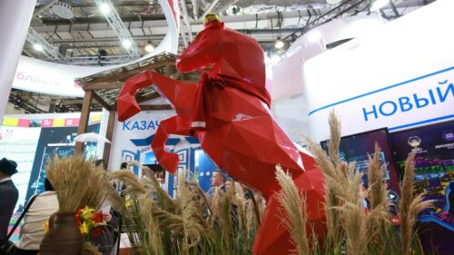 Только мы с конем: айтишники из Ростова научили разговаривать главный туристический символ Вольного Дона