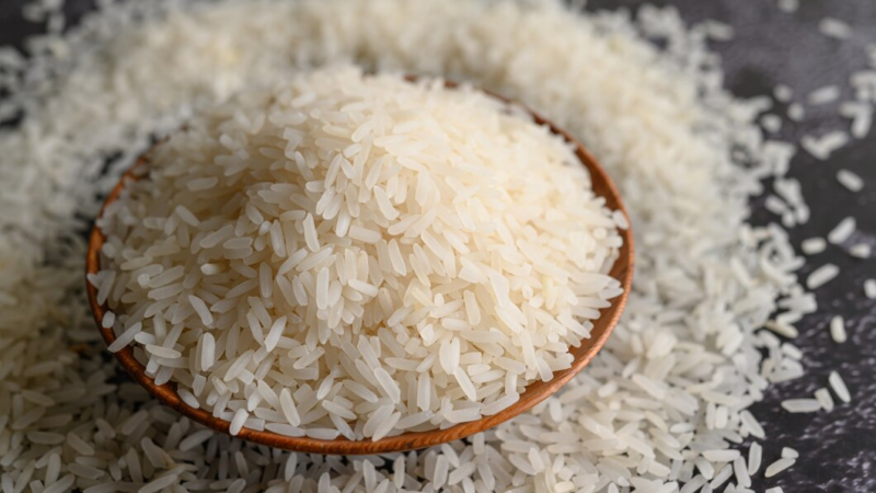 На Кубани за год сбор риса вырос на треть