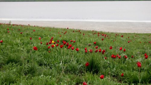 Число турпоездок в Ростовскую область в 2022-2023 гг. увеличилось на 10%